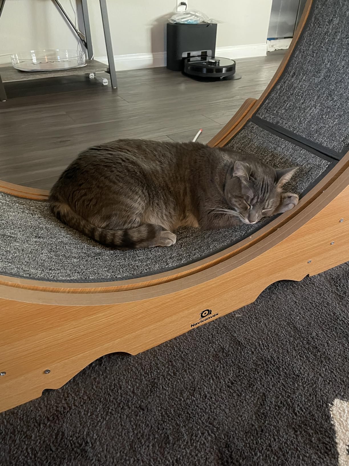 Cat Wheel, 46