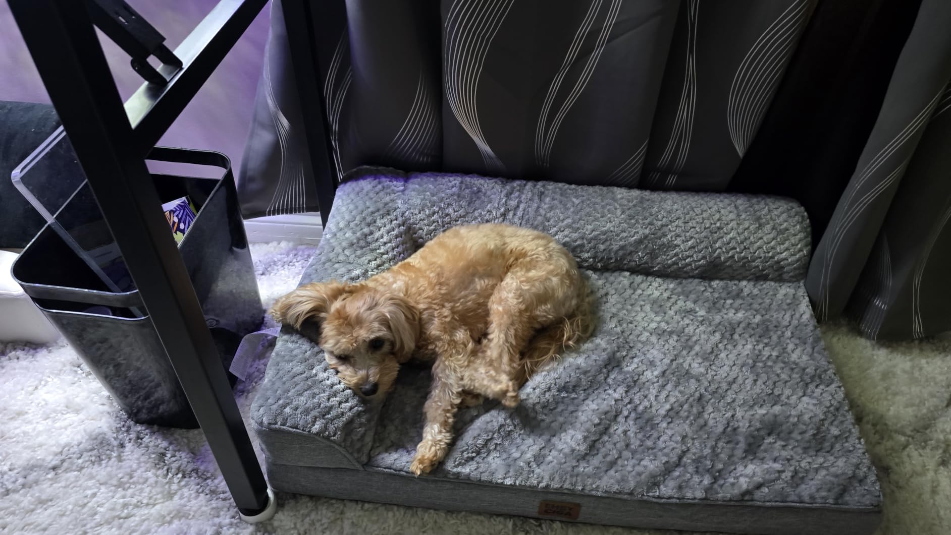 EHEYCIGA Orthopedic Dog Bed Medium Size Dogs, Memory Foam Dog Bed with Washable Removable Cover, Waterproof Pet Sofa Couch for Crate with Nonskid Bottom, 30x20x6, Grey customer photo 1