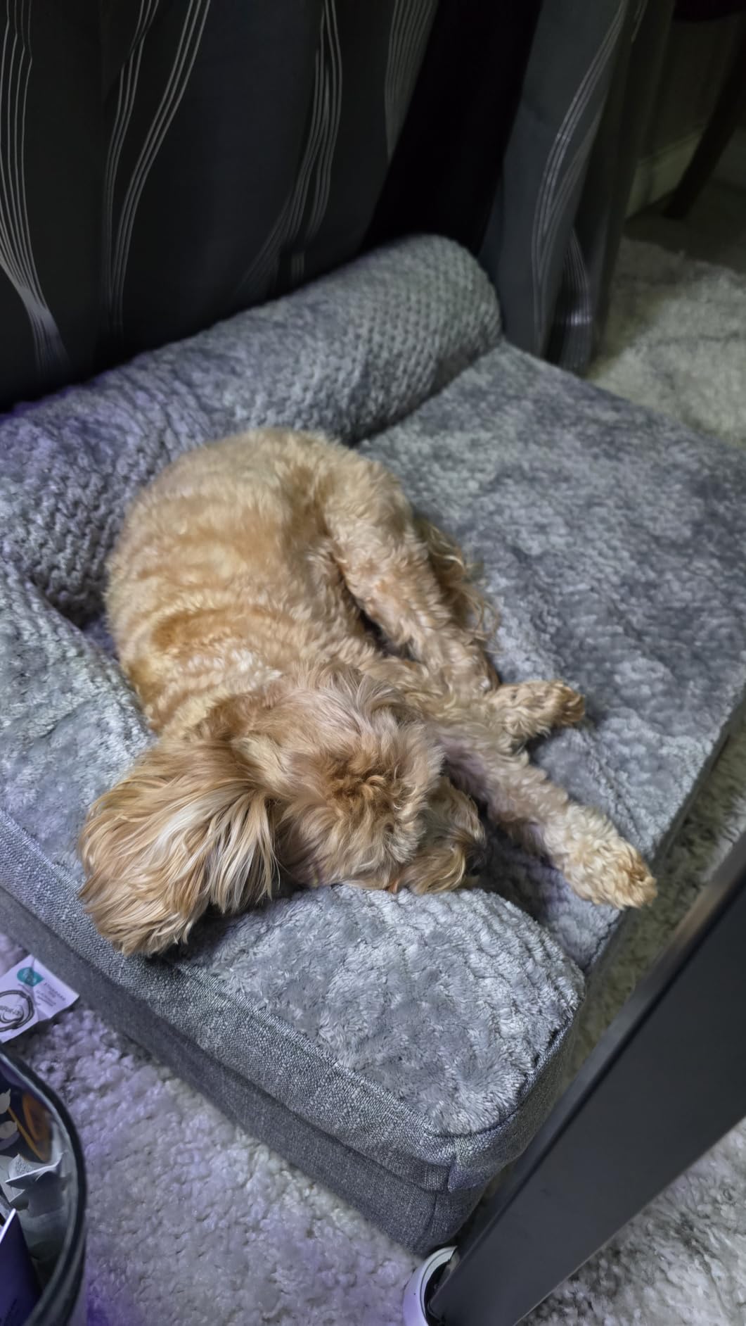 EHEYCIGA Orthopedic Dog Bed Medium Size Dogs, Memory Foam Dog Bed with Washable Removable Cover, Waterproof Pet Sofa Couch for Crate with Nonskid Bottom, 30x20x6, Grey customer photo 2