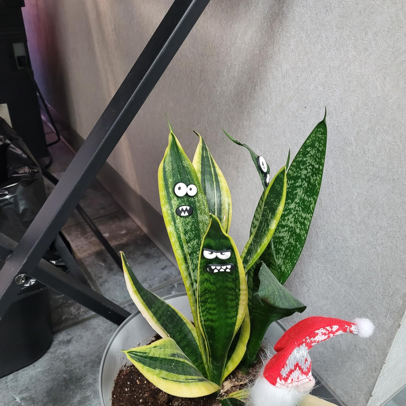 HOMDSG Monster Plant Magnets Eye, Funny Plant Lover Gifts | Cute Plant Accessories Indoor Outdoor, House Plant Decor, Strong Magnets, Lightweight, No Damage to Leaves, 6 PCS customer photo 2