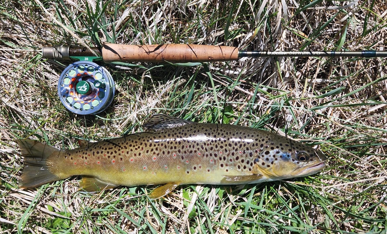Piscifun Sword Fly Fishing Reel, CNC-Machined Aluminum Alloy Fly Reel | Lightweight Aluminum Alloy Design, Corrosion Resistance Design, Pre-Loaded with Fly Line, Smooth Drag System customer photo 2