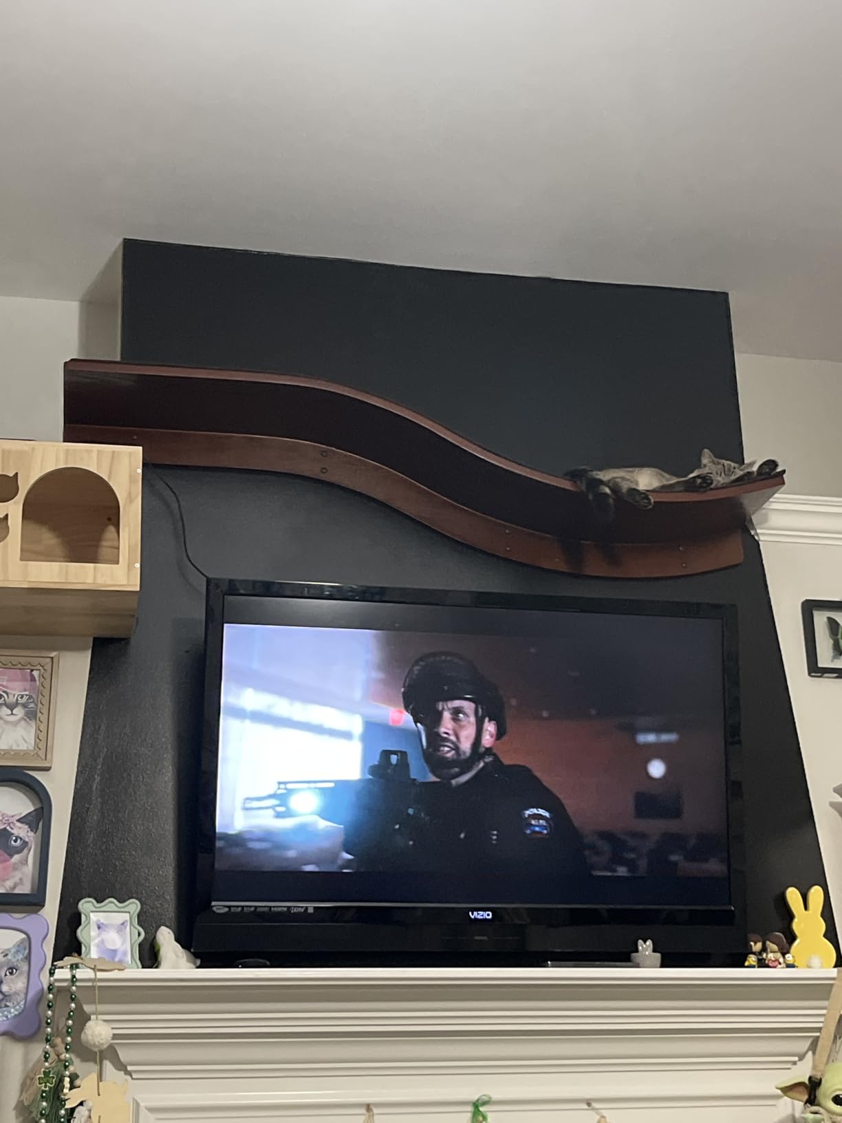 The Refined Feline 60 Inch Lotus Branch Cat Shelf in Brown Mahogany Right Facing with Replaceable Carpet, Playing, Climbing, & Lounging Cat Shelves and Perches for Wall customer photo 2