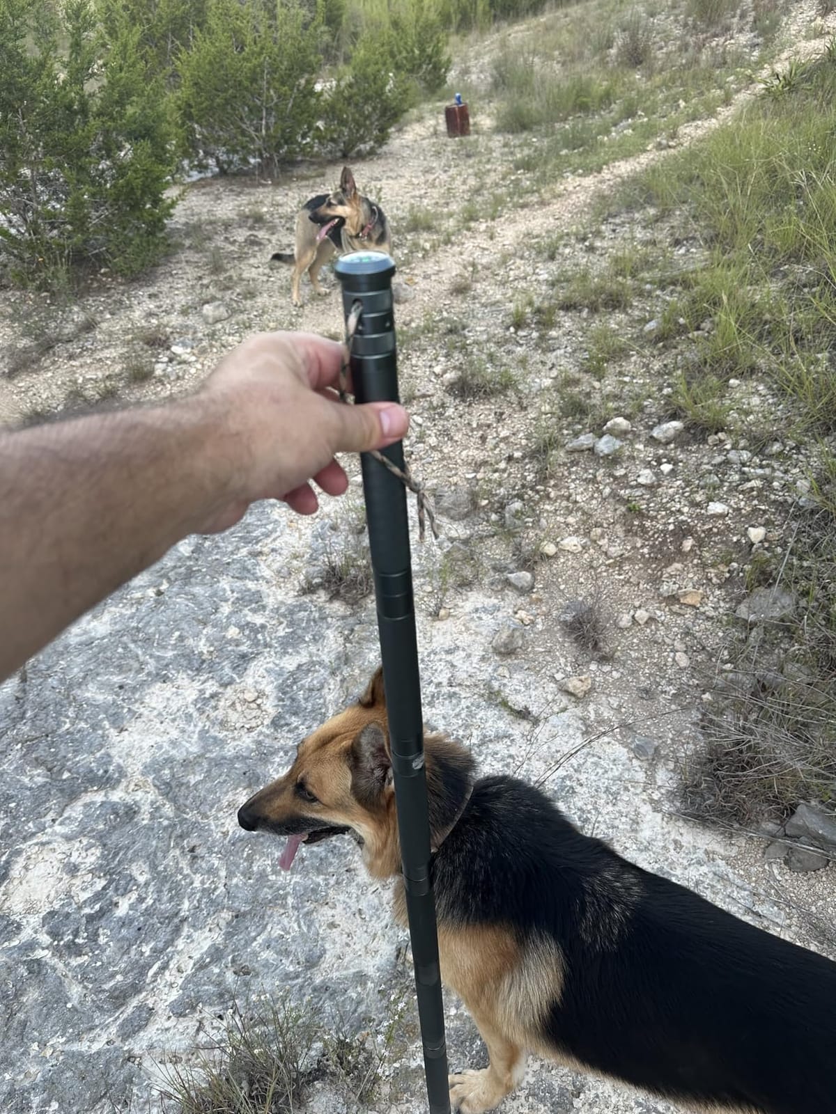 Prime Adventure 15-in-1 Tactical Survival Walking Stick & Hiking Staff - Heavy-Duty Collapsible Multitool for Camping, Hiking & Outdoor Survival Gear (8 Tubes, Premium Build) customer photo 2