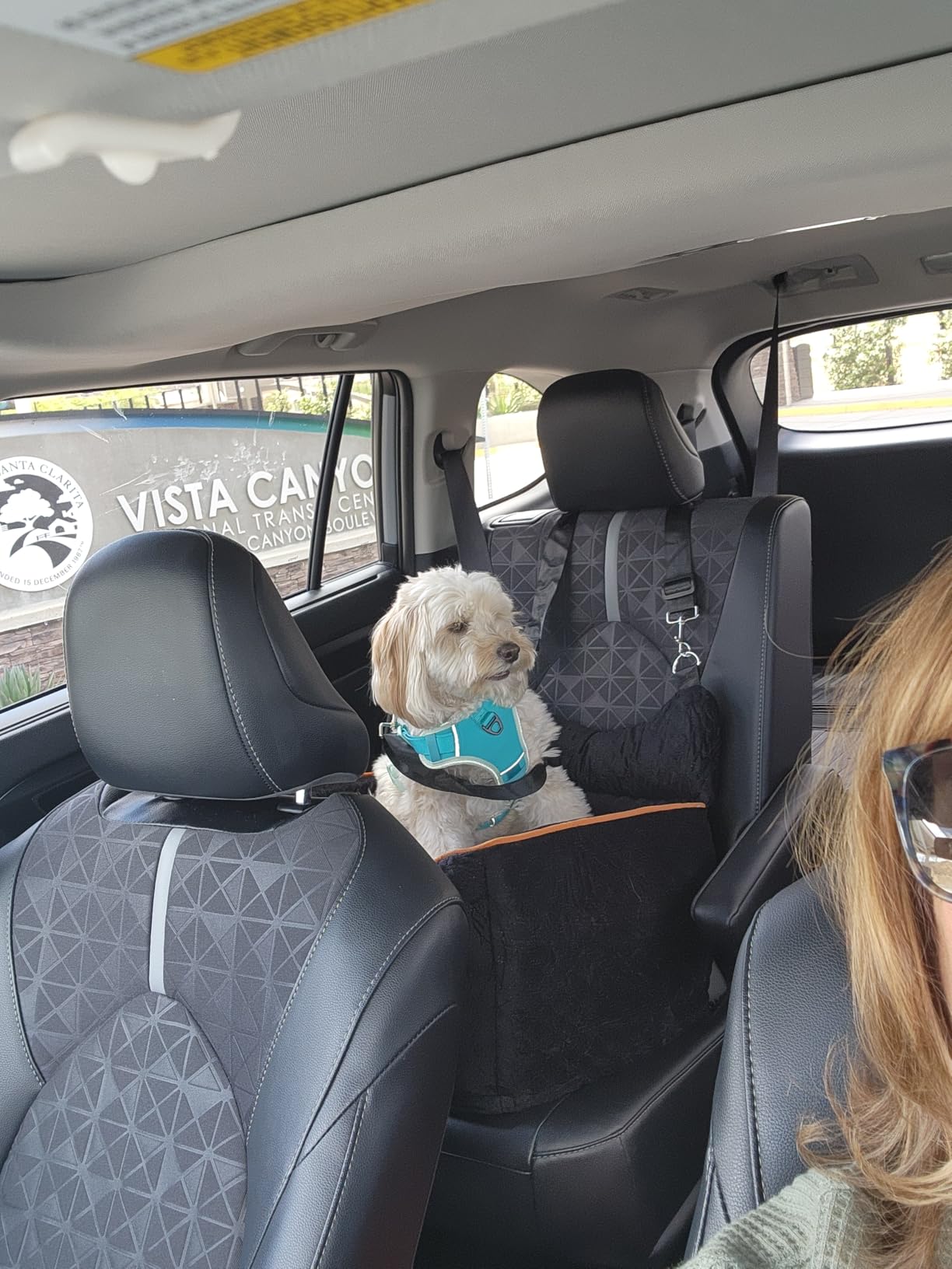 Dog Car Seat - Memory Foam Dog Booster Seat for Small Dogs Up to 25lbs-Elevated Pet Car Seat with Storage Pockets and Dog Seat Belt-Soft Pet Travel Bed for Front & Back Seats-Removable Washable-Grey customer photo 2