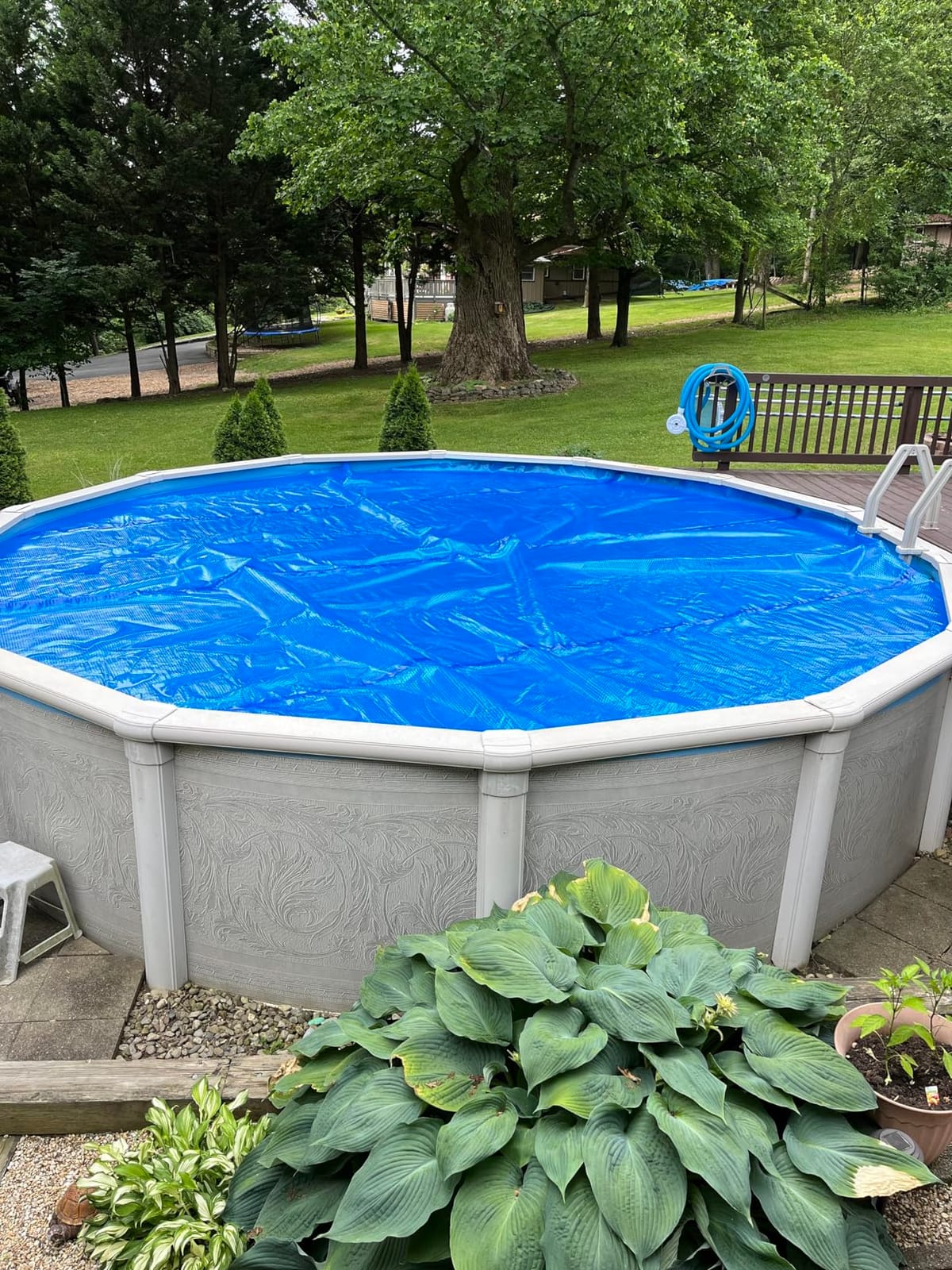 In The Swim 24' Premium Blue Round Solar Pool Cover 12 Mil | For Solar Heating Above Ground Pools and Inground Pools customer photo 2