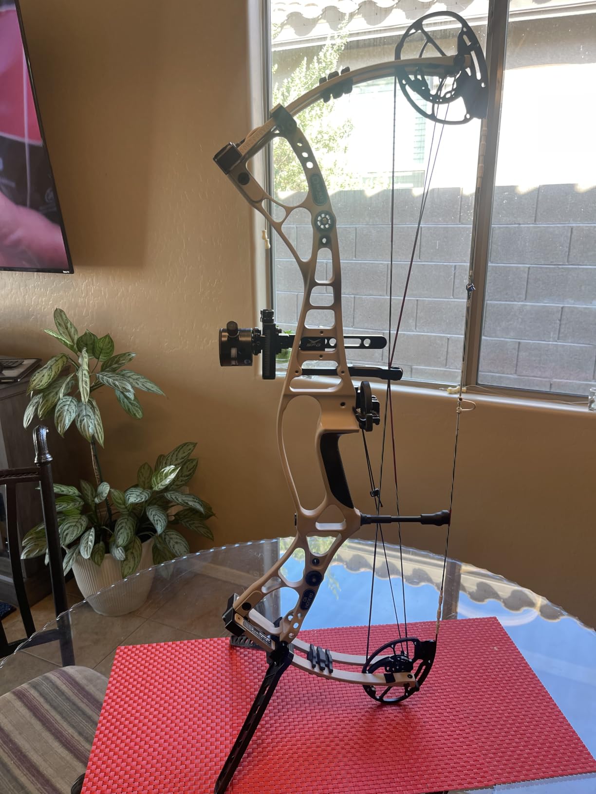 Sanlida Dragon 10 Flagship Top of The Line Hunting Compound Bow Kit for Adults, Standard Hunting Bow for Adults and Advanced Archers, IBO Speed 340 FPS, Limited Life-time Warranty, RH Only customer photo 1
