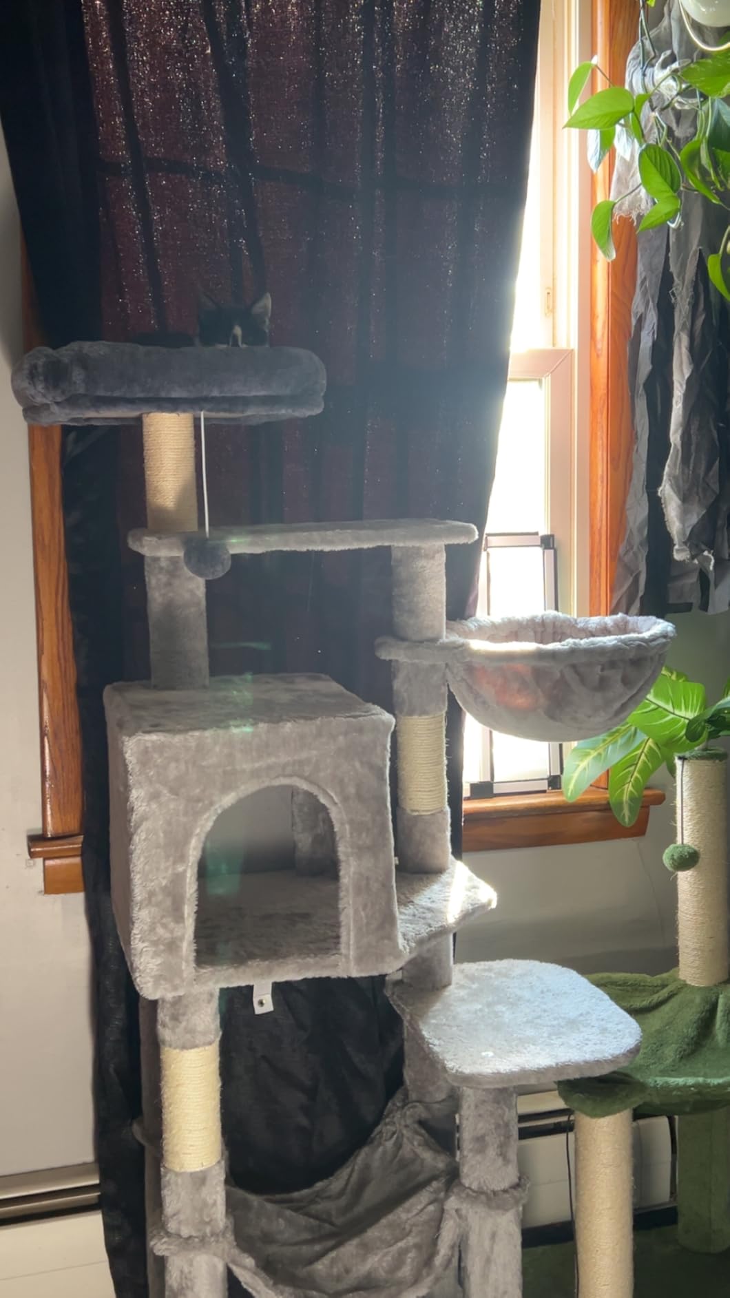 Hey-brother Cat Tree with Large Hammock, Multi-Level Cat Tower for Indoor Cats, Cat Condo with Sisal-Covered Scratching Posts and Top Perch, Light Gray MPJ050W customer photo 1