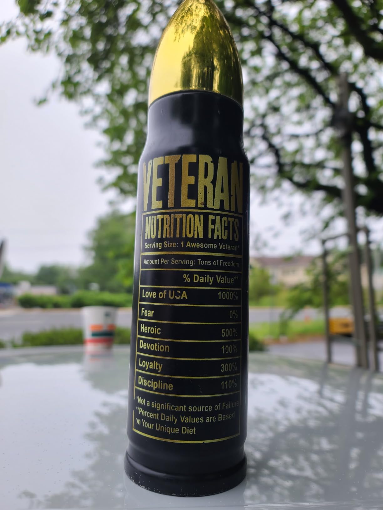 Veteran Gifts - Veteran Tumbler, Tumbler for Veterans, Army, Navy, Air Force, Marine Corps - Fathers Day, 250th Anniversary USA, Birthday, Veterans Day Gift for Men, Him customer photo 2