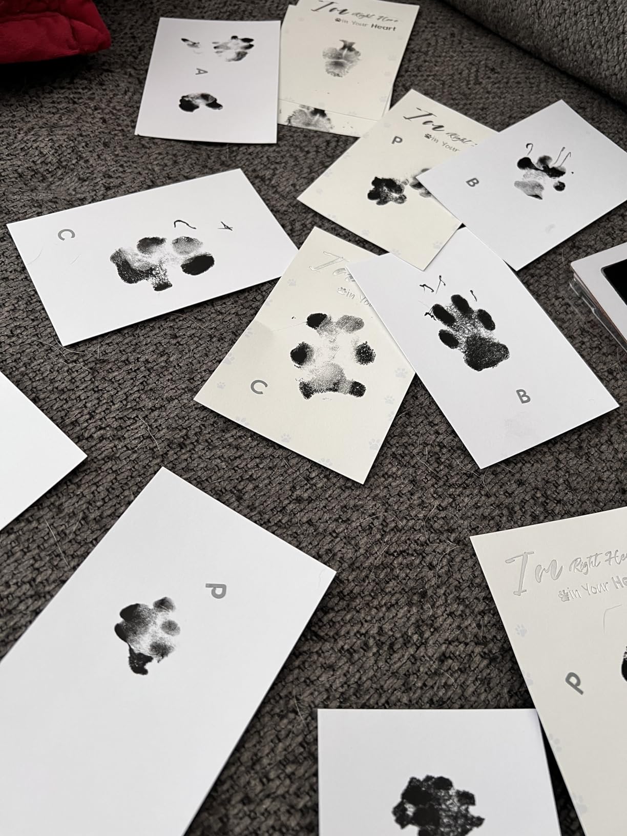 DeerZone Inkless Paw Print Kit, Dog Paw Print Kit, Dog Nose Print Kit | Clean Touch Ink Pads, 4 Ink Pads & 16 Imprint Cards, Pet Paw Print Impression Kit for Dogs Cats Baby Footprint Keepsake customer photo 2