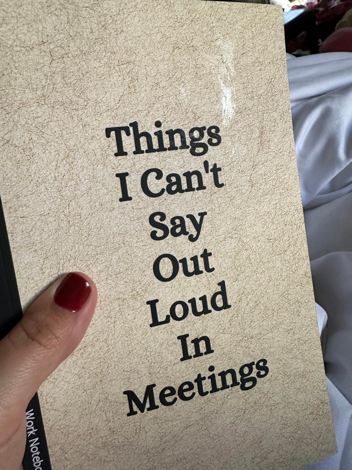 Things I Can't Say Out Loud In Meetings: Funny Notebook for Work, Gag Gift, Boss, Office, Secret Santa Gift for Coworker (Lined Journal with Quotes) customer photo 2