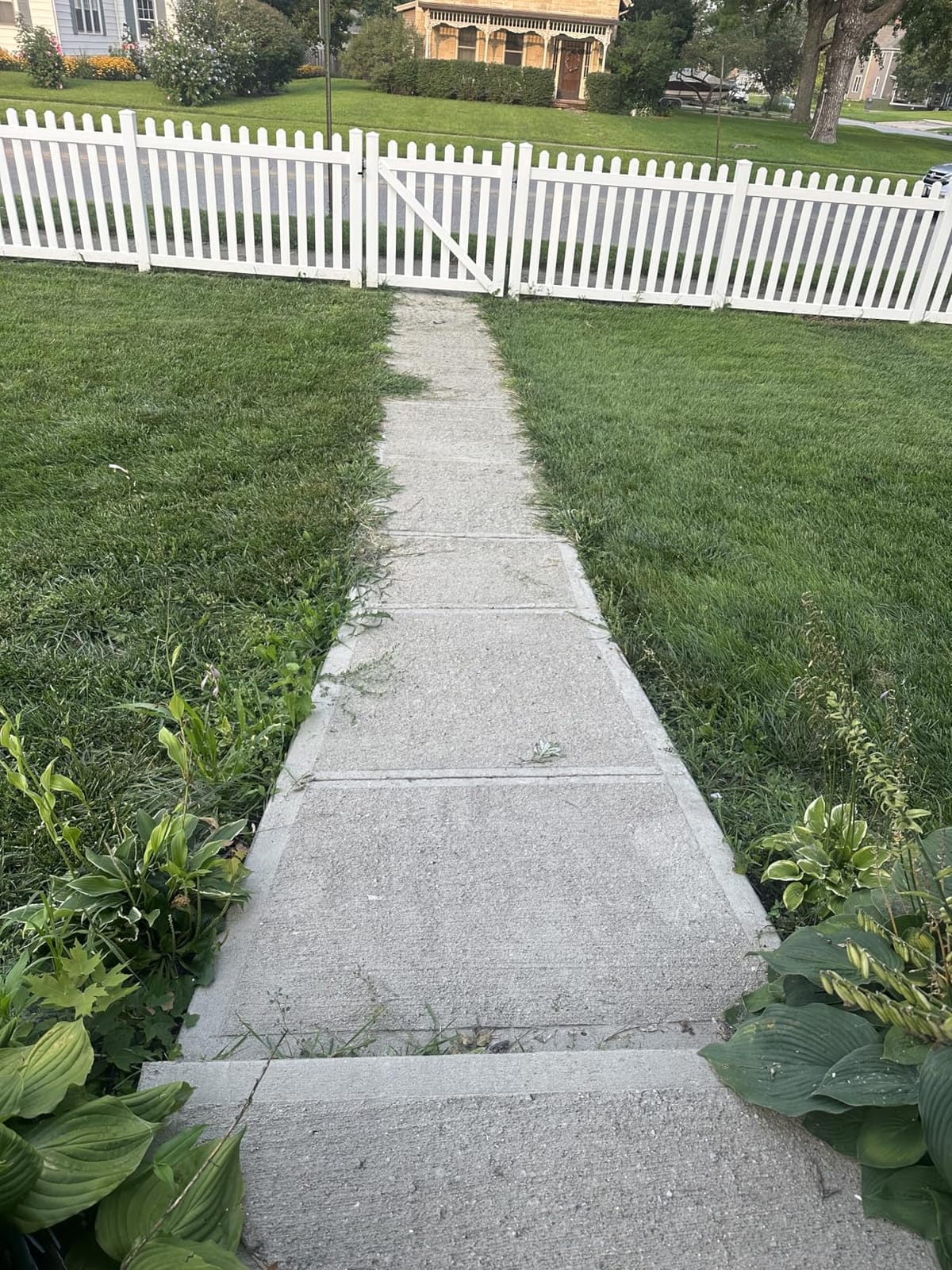 Greenworks 80V 8 in Cordless Electric Lawn Edger, Tool Only customer photo 1