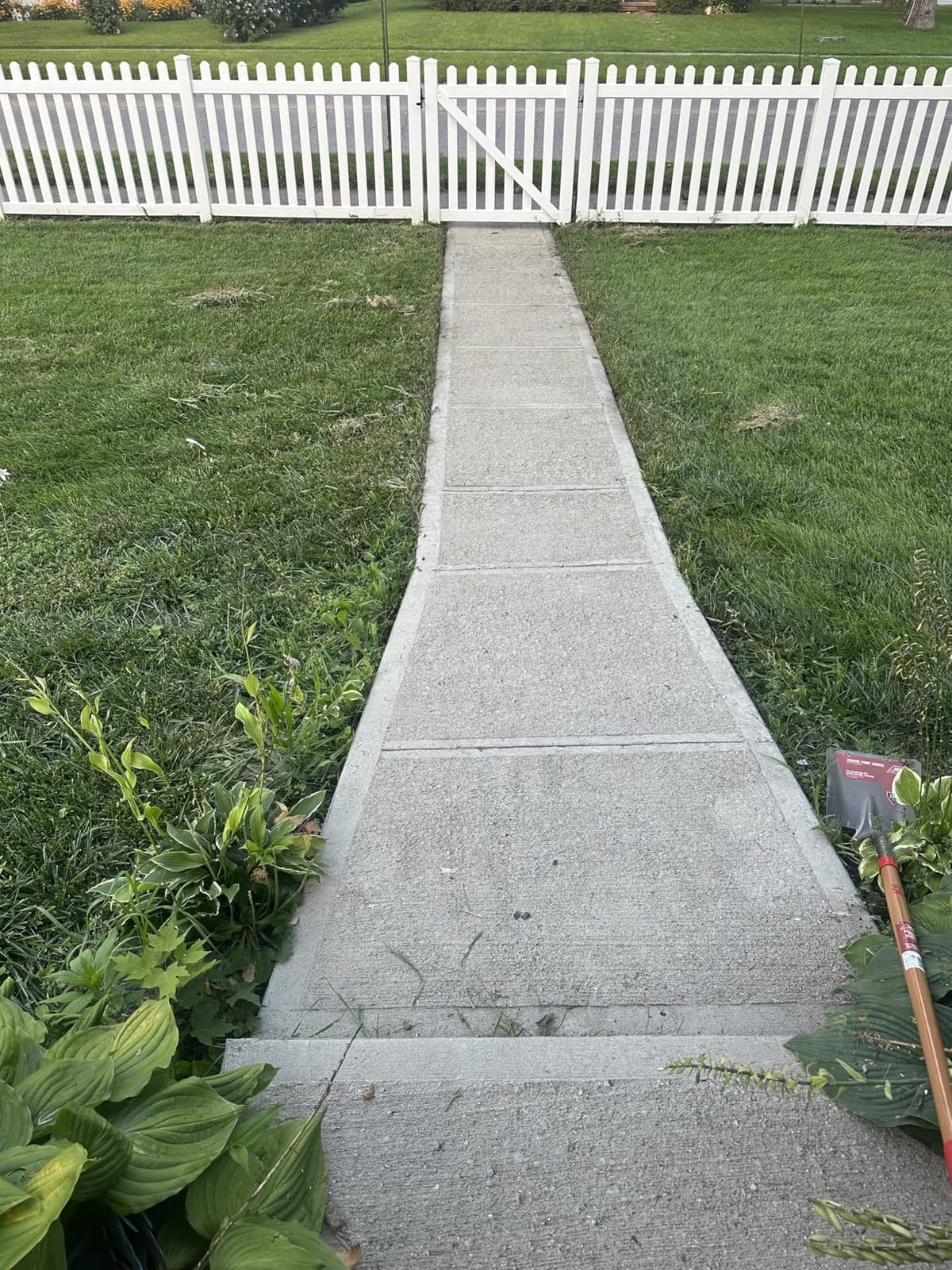 Greenworks 80V 8 in Cordless Electric Lawn Edger, Tool Only customer photo 2