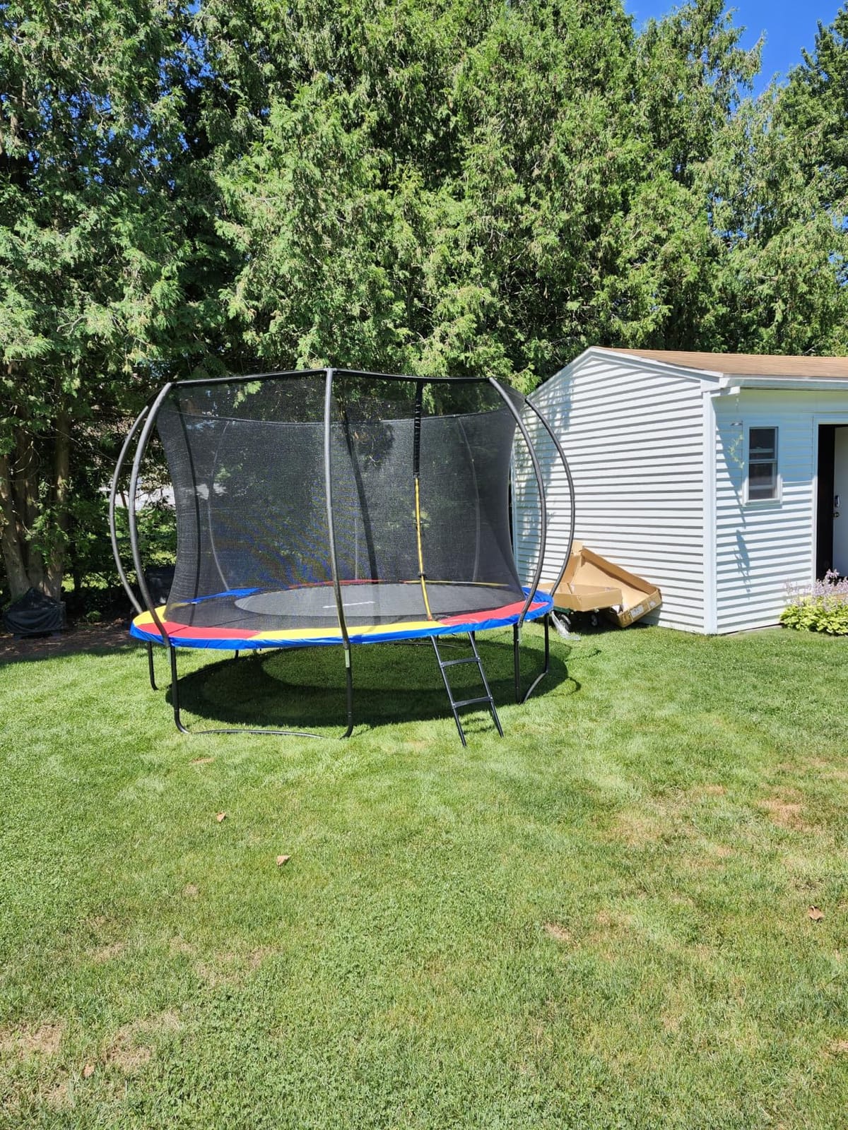 JoyBerri Outdoor Trampoline - with LED Lights, Net, Ladder, ASTM Certified | 8Ft 10Ft 12Ft 14Ft 15Ft 16Ft, 450lb capacity, kids & adults, anti-rust steel, net + ladder + stakes, 5-year protection customer photo 2