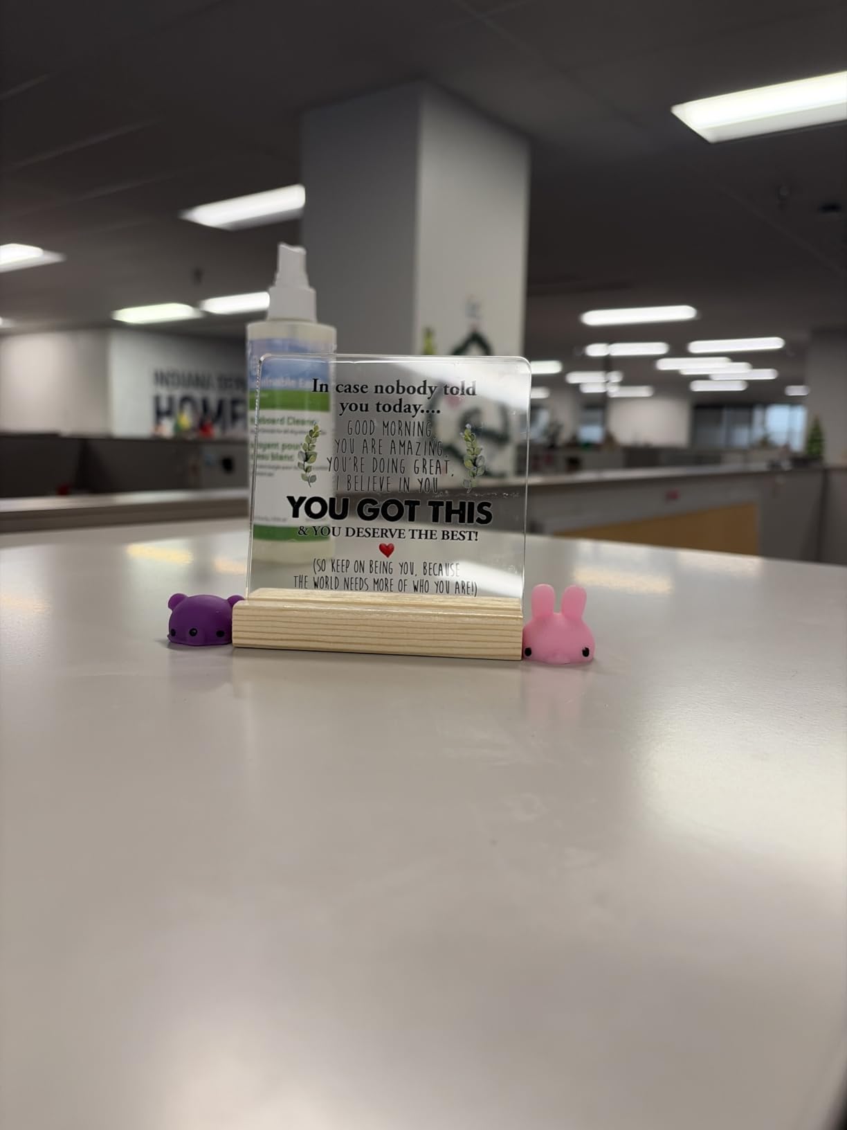 Inspirational Clear Desk Sign Decor - Thank You Gifts for Coworkers (4 x 4 Inches) customer photo 2