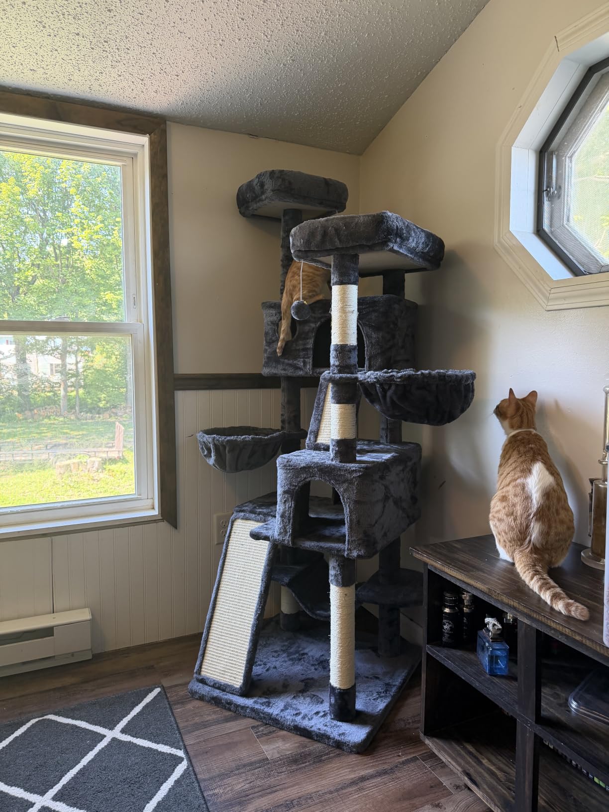 SHA CERLIN 65in Larger Cat Tree Tower Condo for Indoor Kitties/Multi-Level Furniture Activity Center with Wide Base/Cozy Plush Cat Perches/Baskets/Sisal Scratching Posts and Hammock/Beige customer photo 2