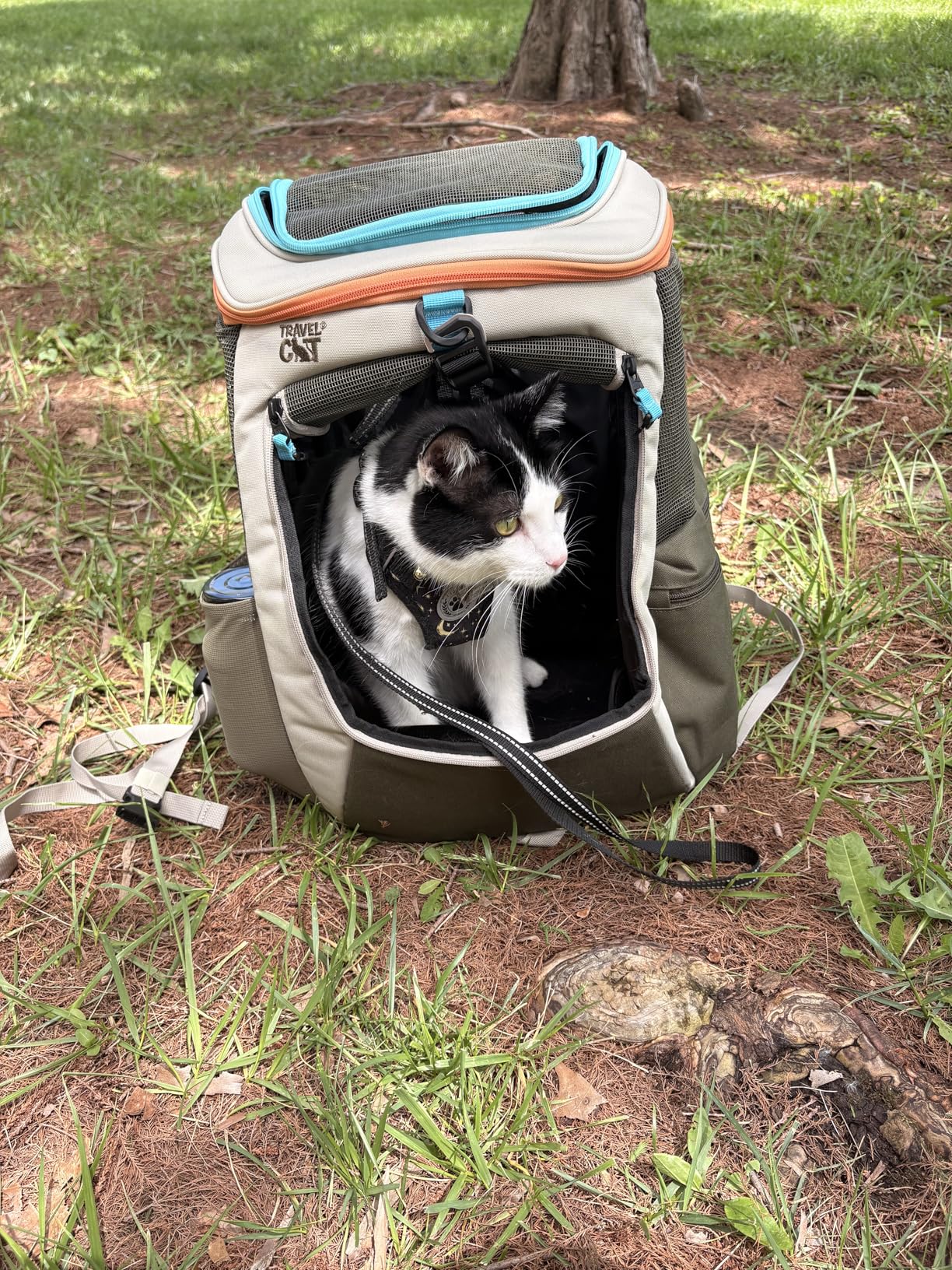 Travel Cat Backpack Carrier - The Navigator Convertible Pet Carrier Backpack - Cat Carrier Backpack with Fully Ventilated Mesh (Earth) customer photo 2