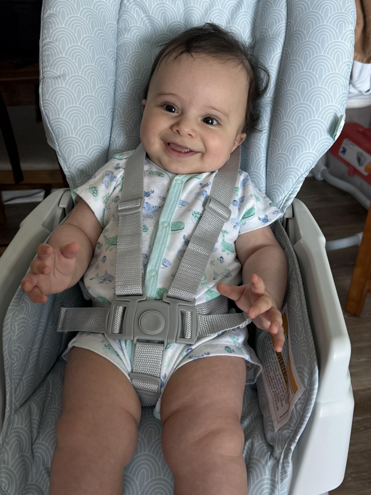 Graco Made2Grow 5-in-1 Convertible Highchair Adjustable Baby to Toddler Seat, Hudson customer photo 2