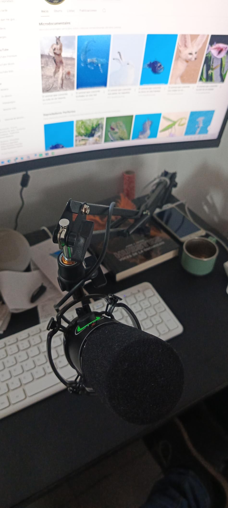MAONO XLR/USB Dynamic Microphone Kit, RGB Podcast Mic with Software, Mute, Gain Knob, Volume Control, Boom Arm for Streaming, Gaming, Voice-Over, Recording-PD200XS Black customer photo 2