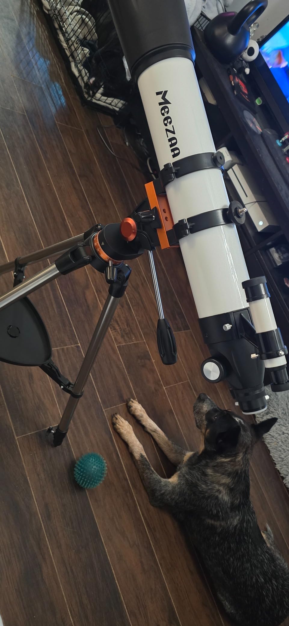 MEEZAA Telescope for Adults High Powered, 90mm Aperture 800mm Refractor | Professional Telescopes, for Astronomy Beginners Stargazing, Fully Multi-Coated, AZ Mount Tripod, Phone Adapter & Carry Bag customer photo 1