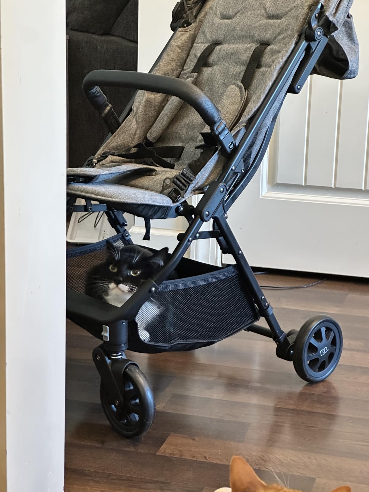 Lightweight Travel Stroller for Baby & Toddlers - Easy Fold & Compact Stroller with Canopy, Storage Basket, Multi-Position Recline & Convenient One-Hand Fold (Grey) customer photo 1