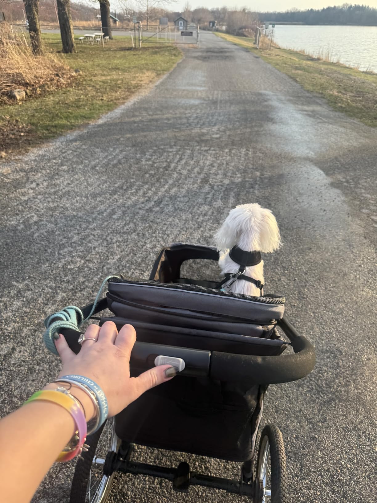 PawHut 3 Wheels Pet Stroller, Foldable Dog Stroller with Adjustable Canopy, Safety Tether, Cushion, Storage Basket, Portable Jogger for Small and Medium Dogs and Cats, Gray customer photo 1