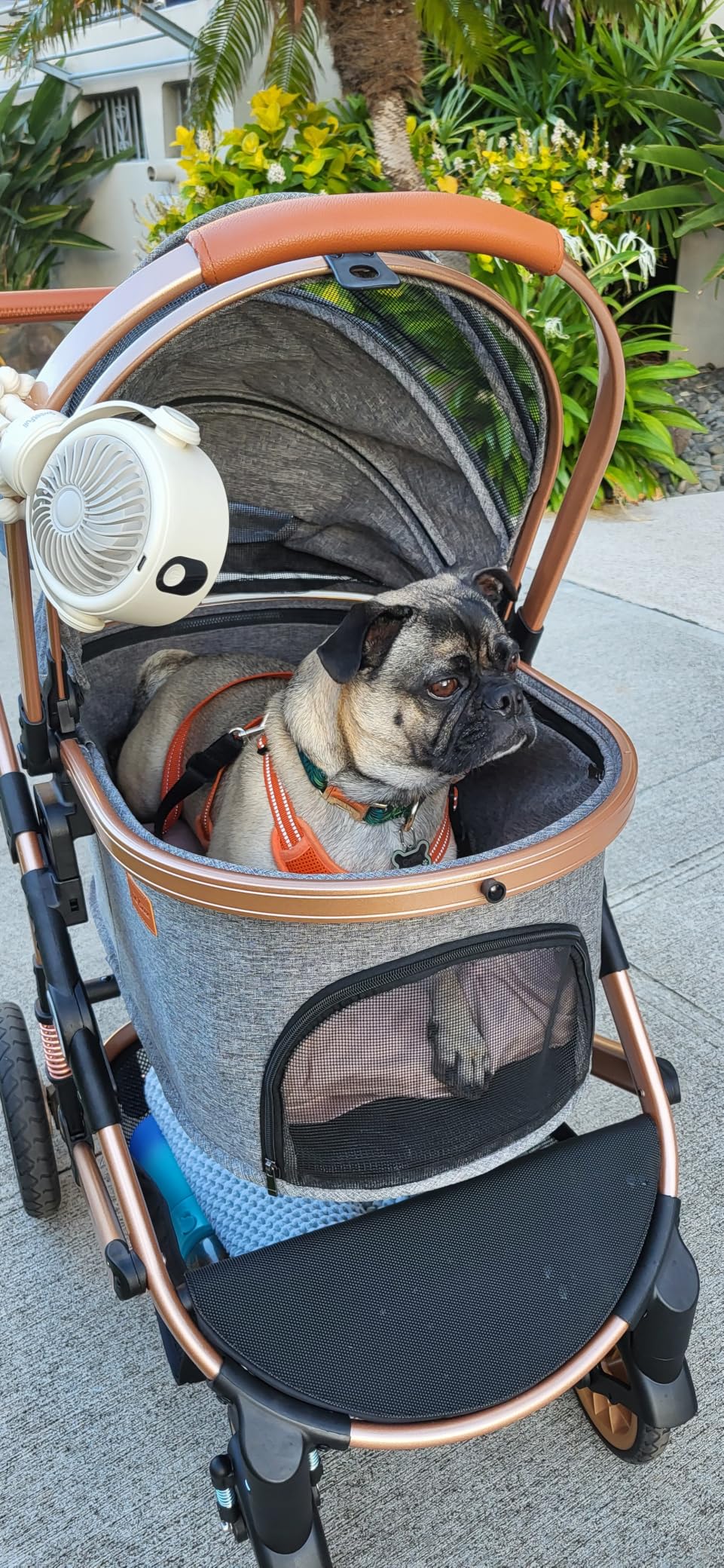 Bicystar Dog Stroller with Detachable Carrier, Rubber Wheels, 50 lbs, Grey | 3-in-1 stroller and car seat, real solid rubber wheels, fits 2 small or 1 medium pet, foldable frame customer photo 1