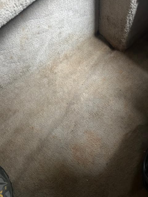 The Pink Stuff Miracle Foaming Carpet & Upholstery Stain Remover, 16 Fl Oz | Powerful Oxi Formula Tough on Stains customer photo 1
