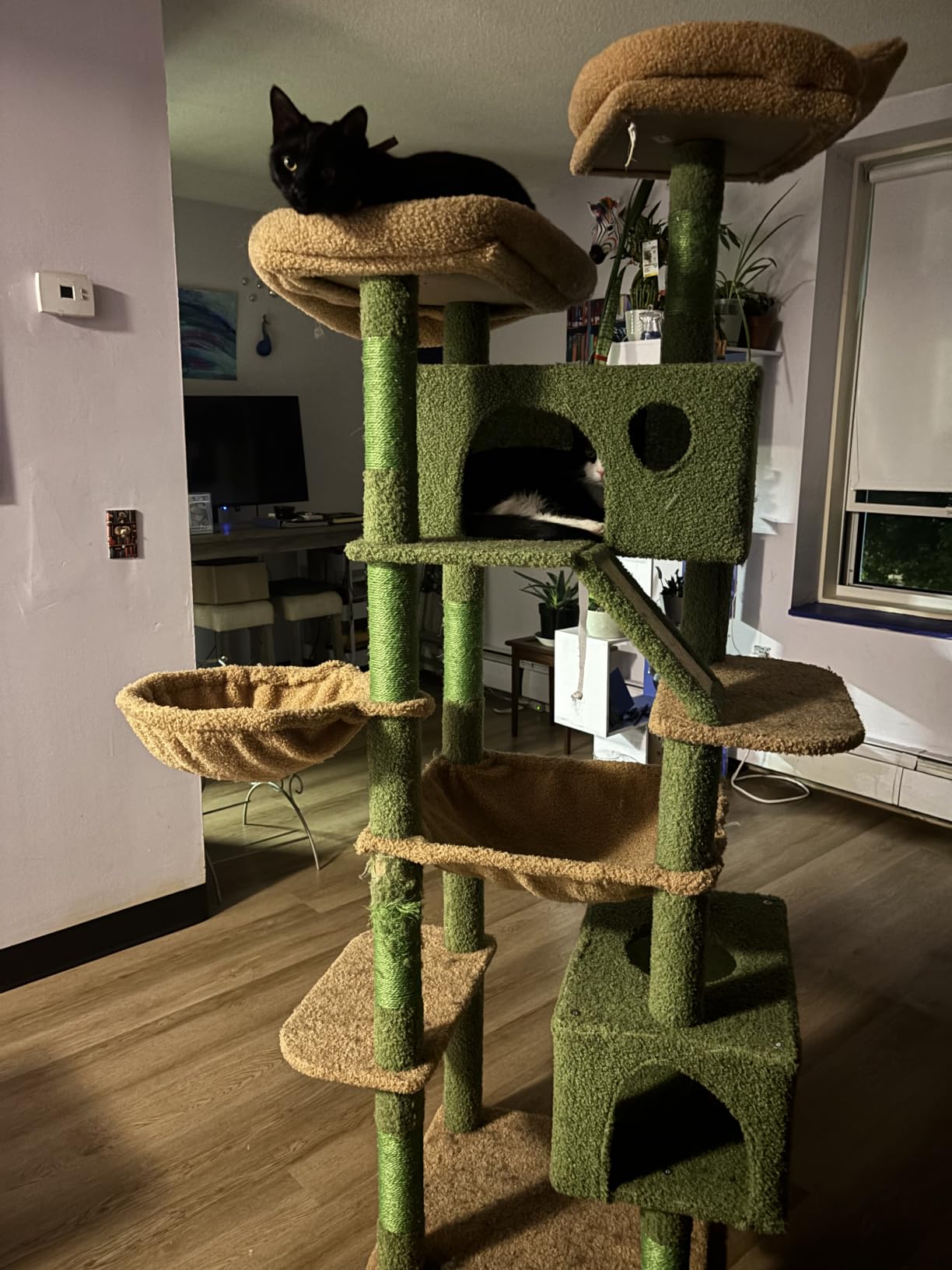 Taoqimiao Cactus Cat Tree, 71-Inch Cat Tower for Indoor Cats Large Adult, Multi-Level Large Cat Condo, 8 Sisal Scratching Posts, Metal Frame Cozy Hammock, Scratch Board, 2 Top Perches, MSC026L customer photo 1