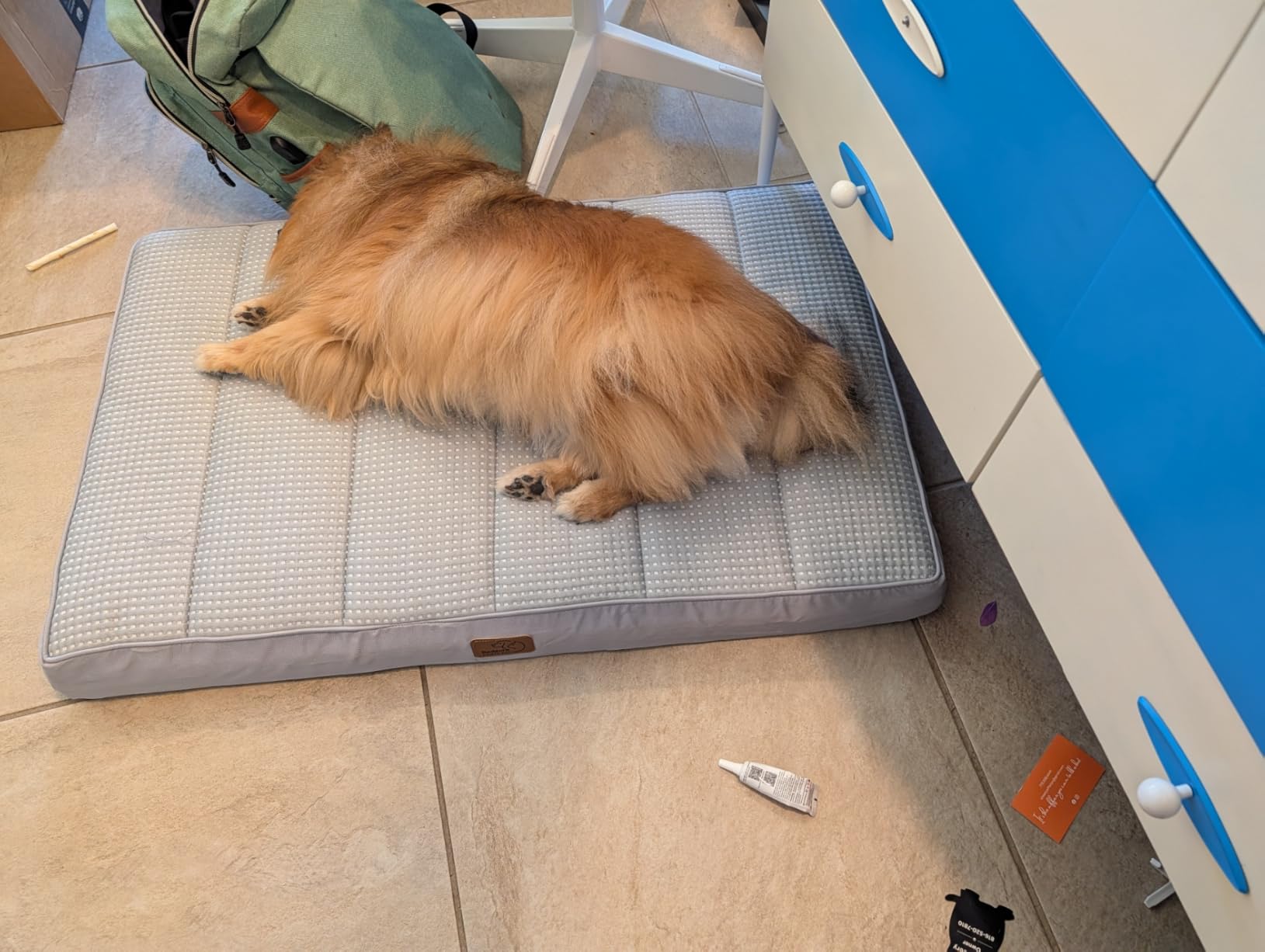 Bedsure XL Cooling Dog Bed, Extra Large Breathable Pet Summer Bed, 44 Inch | Orthopedic Egg Crate Foam, Cold Summer Pad Mat, Non-Slip Bottom, Comfy Removable Washable Cover, For Pets Up to 100 lbs customer photo 1