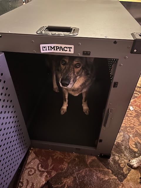 Impact High Anxiety Dog Crate - Escape Proof Kennel (Gray, 40