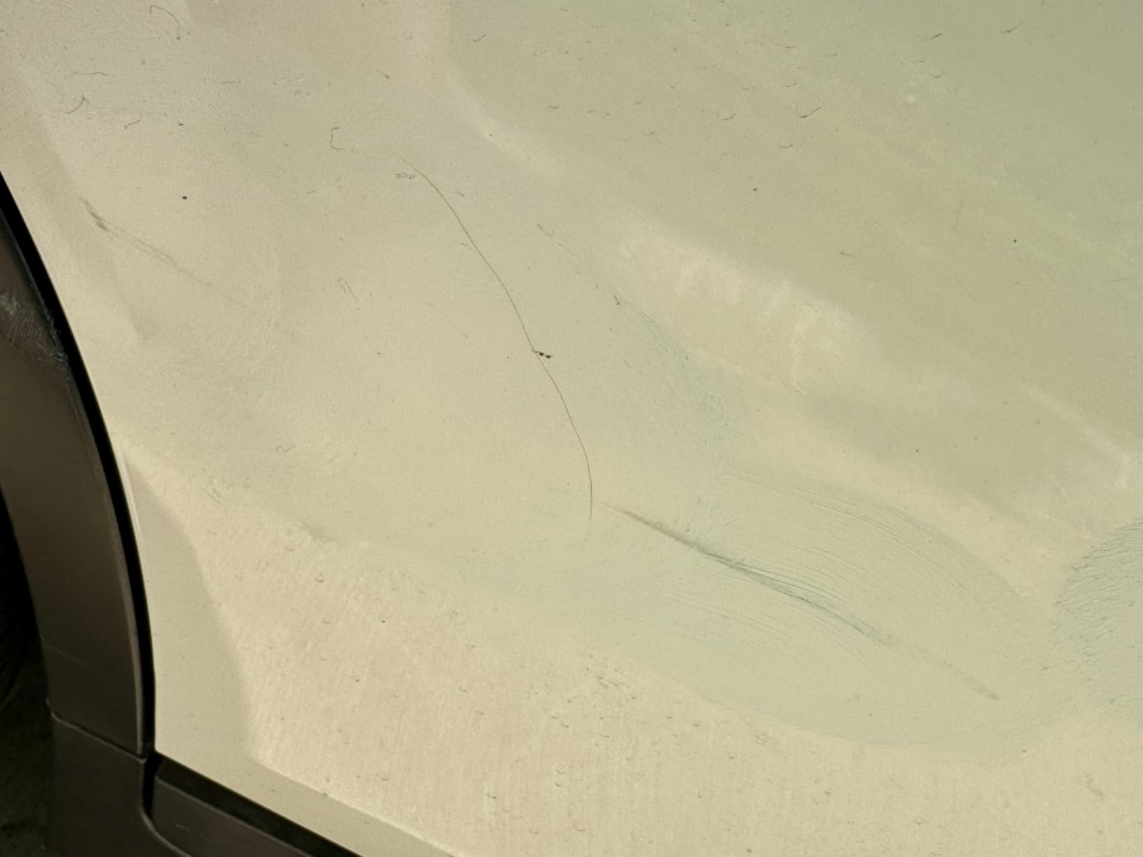 Chemical Guys, C4 & P4 Compound & Polish Paint Correction Kit, 2 x 16 oz | Cut scratches, swirls and towel marks with C4, then refine depth and gloss with P4, safe on clear coat paint customer photo 1