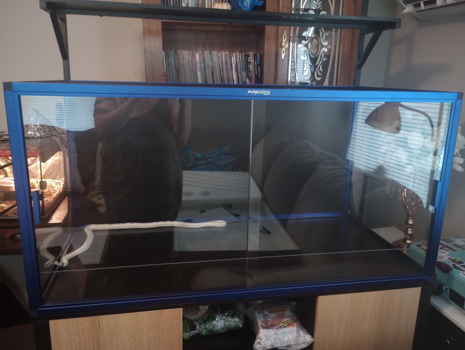 120 Gallon Bearded Dragon Tank, 48