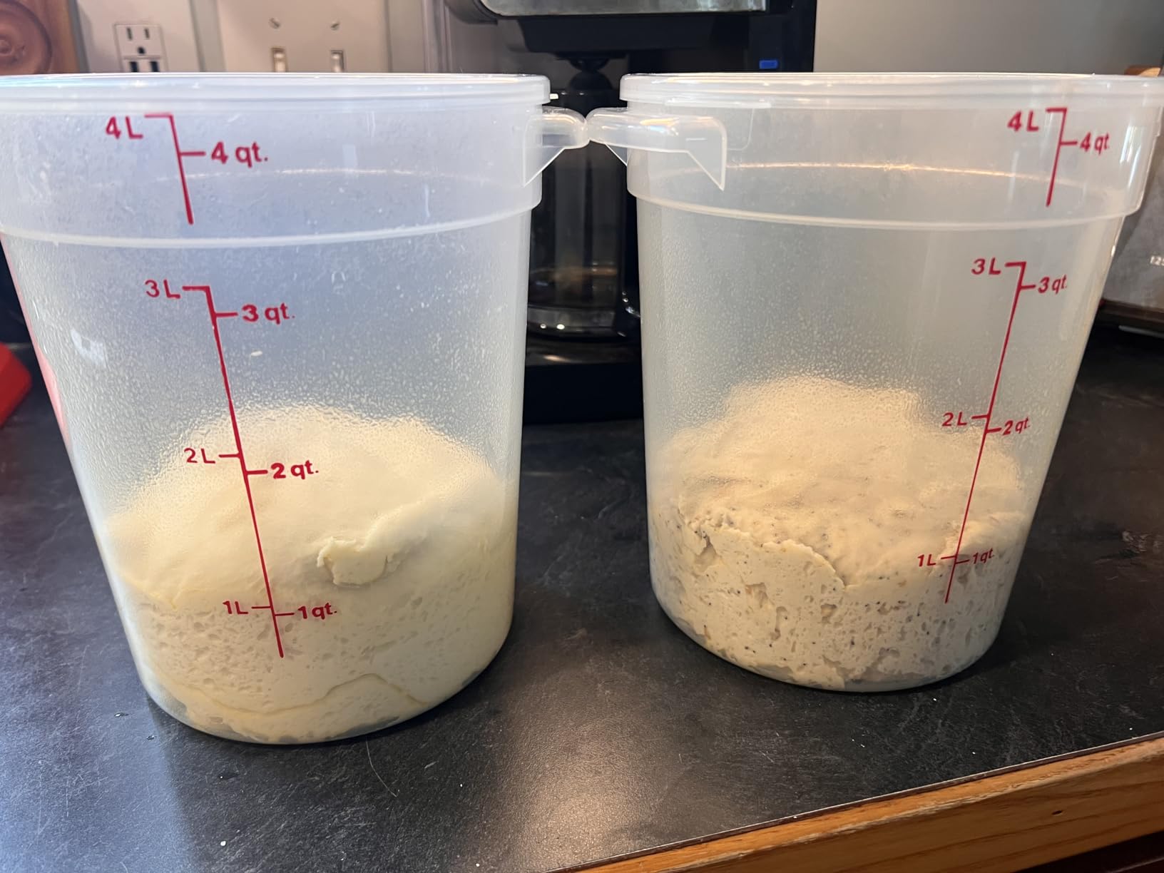 Cambro Food Storage Containers with Lids (BPA-Free) - 4 Quart - Food Grade Buckets with Lids (2 Pack) - For Dough Proofing and Brining customer photo 2