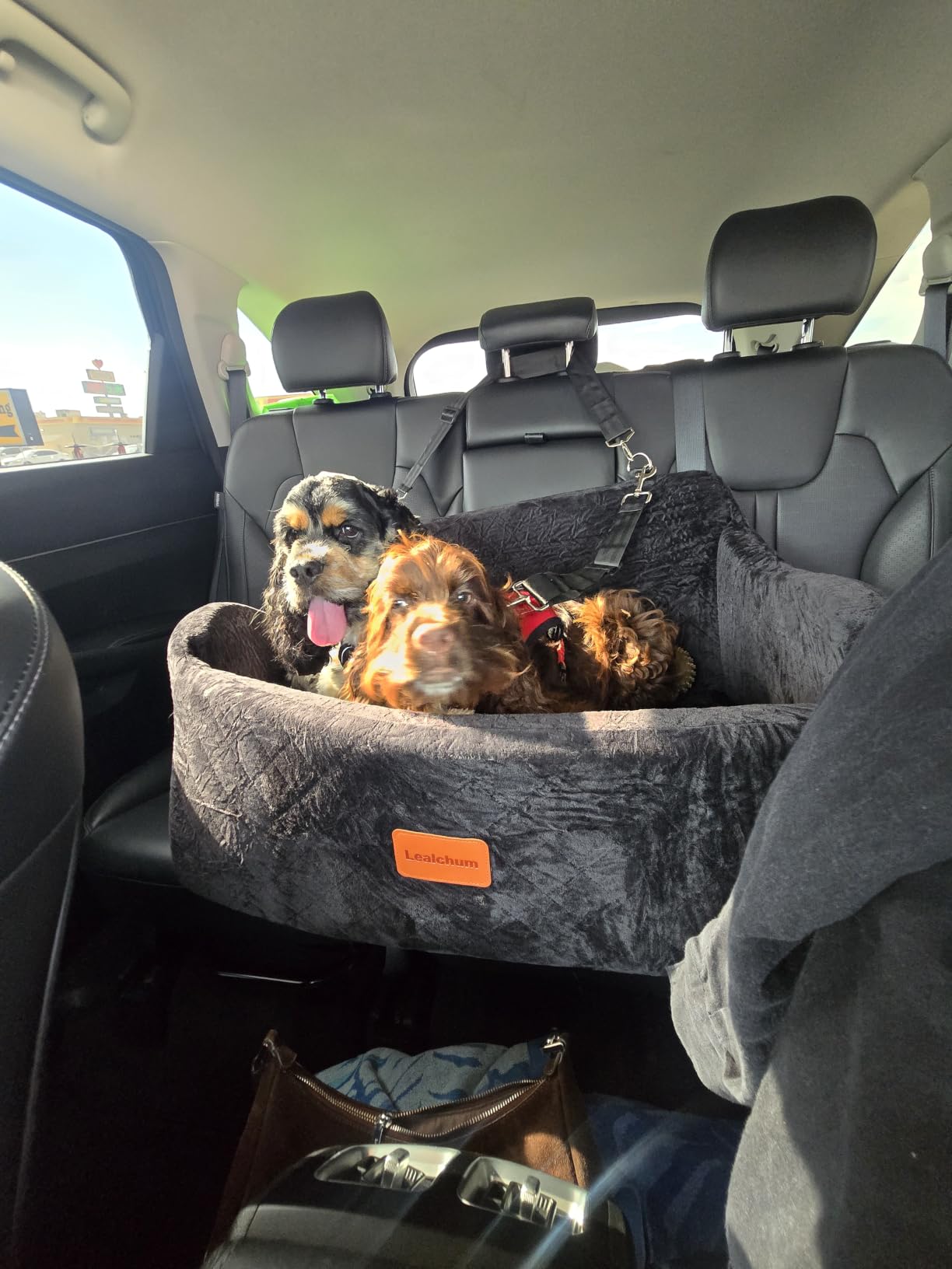 Lealchum Dog Car Seat Up to 55lb, 2 Clip-On Safety Adjustable Leashs Car Dog Bed for 2 Small Dogs, Fully Detachable and Washable Pet Car Seat with 2 Storage Pockets, Easy to Install (Black/Grey, Large) customer photo 1