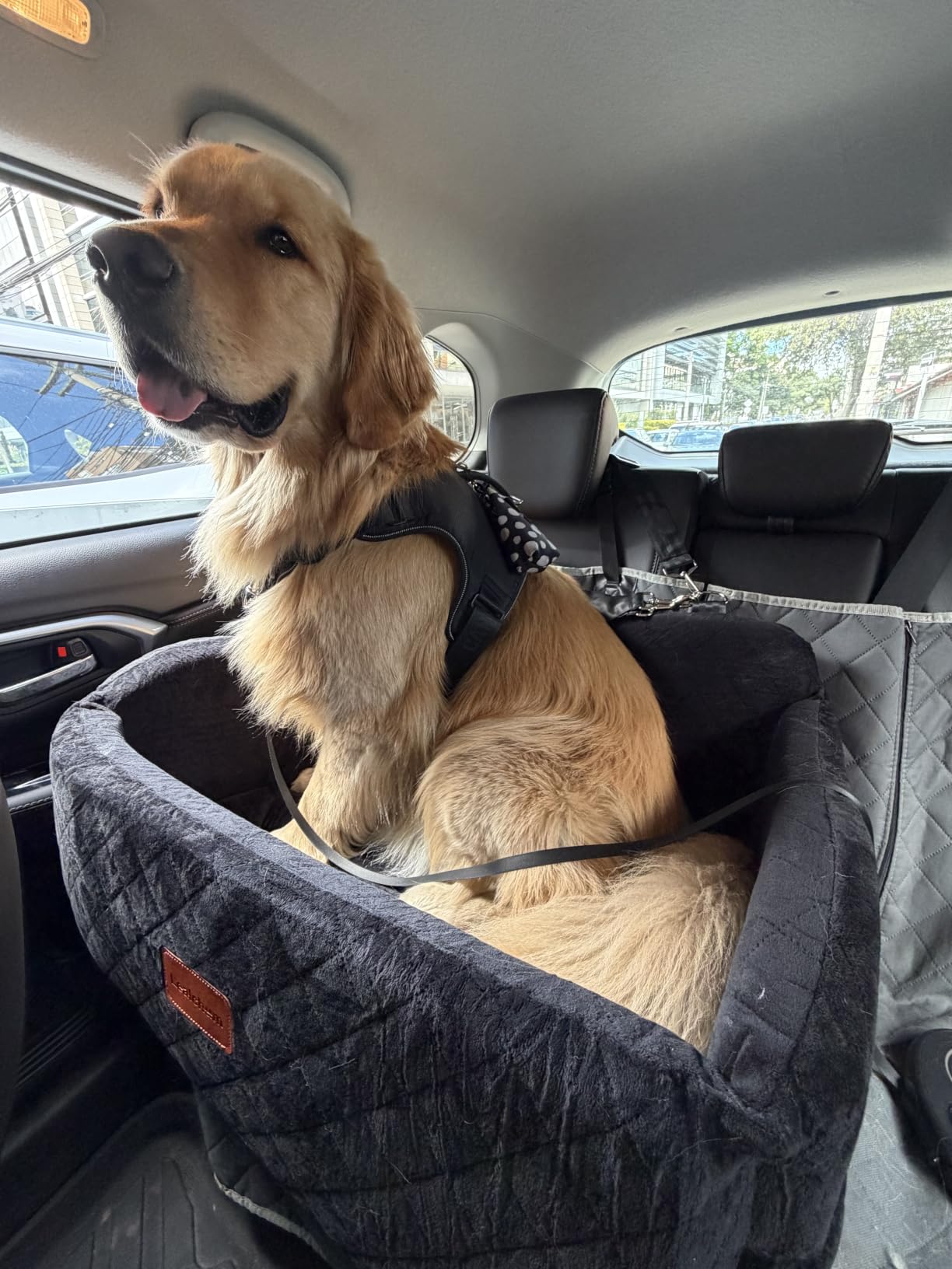 Lealchum Dog Car Seat Up to 55lb, 2 Clip-On Safety Adjustable Leashs Car Dog Bed for 2 Small Dogs, Fully Detachable and Washable Pet Car Seat with 2 Storage Pockets, Easy to Install (Black/Grey, Large) customer photo 2