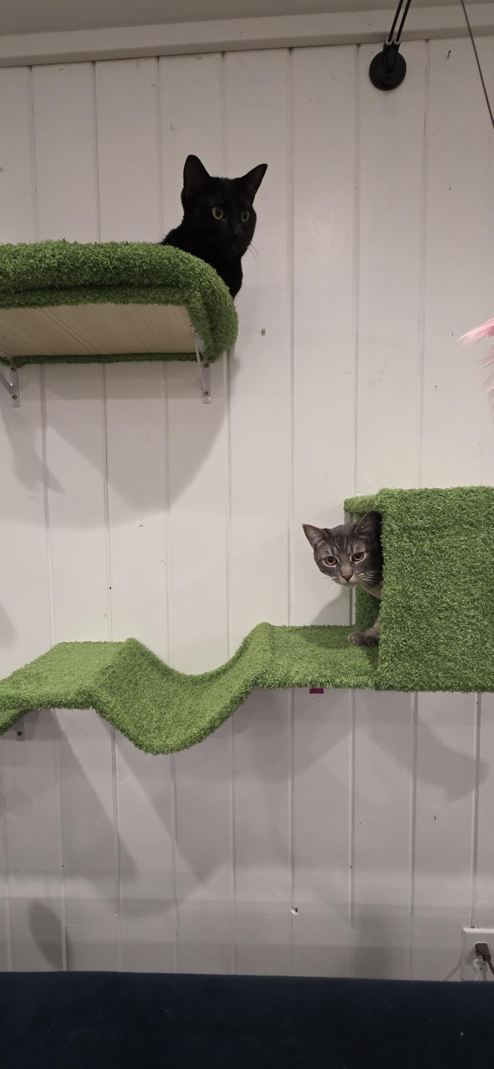 FUKUMARU Cat Wall Shelves, 4 in 1 Set, Grey | Stable & Safe Cat Walls Furniture, Wooden Kitten Climbing Wall with Scratching Post for 16 Inch Drywall customer photo 2