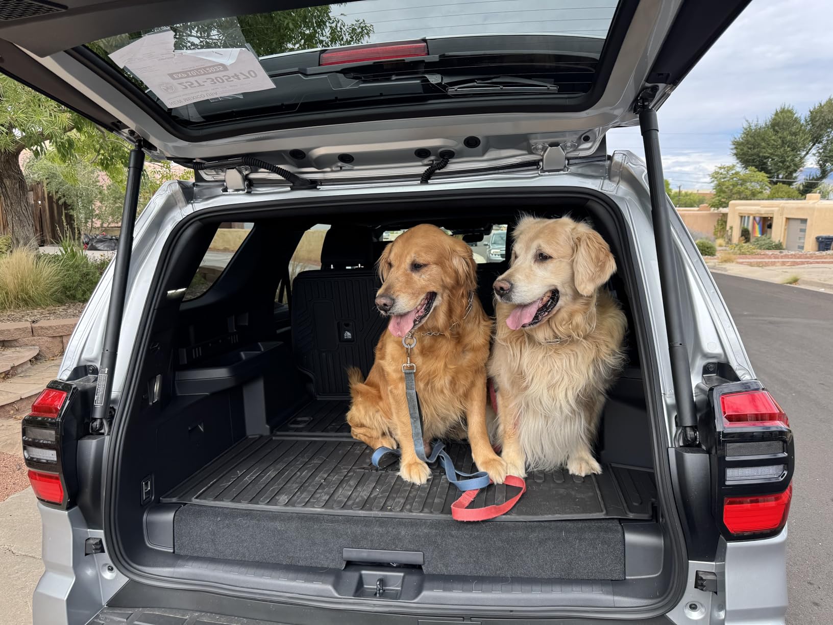 PetThem Dog Ramp for Car 71'' X-Long & 17.2
