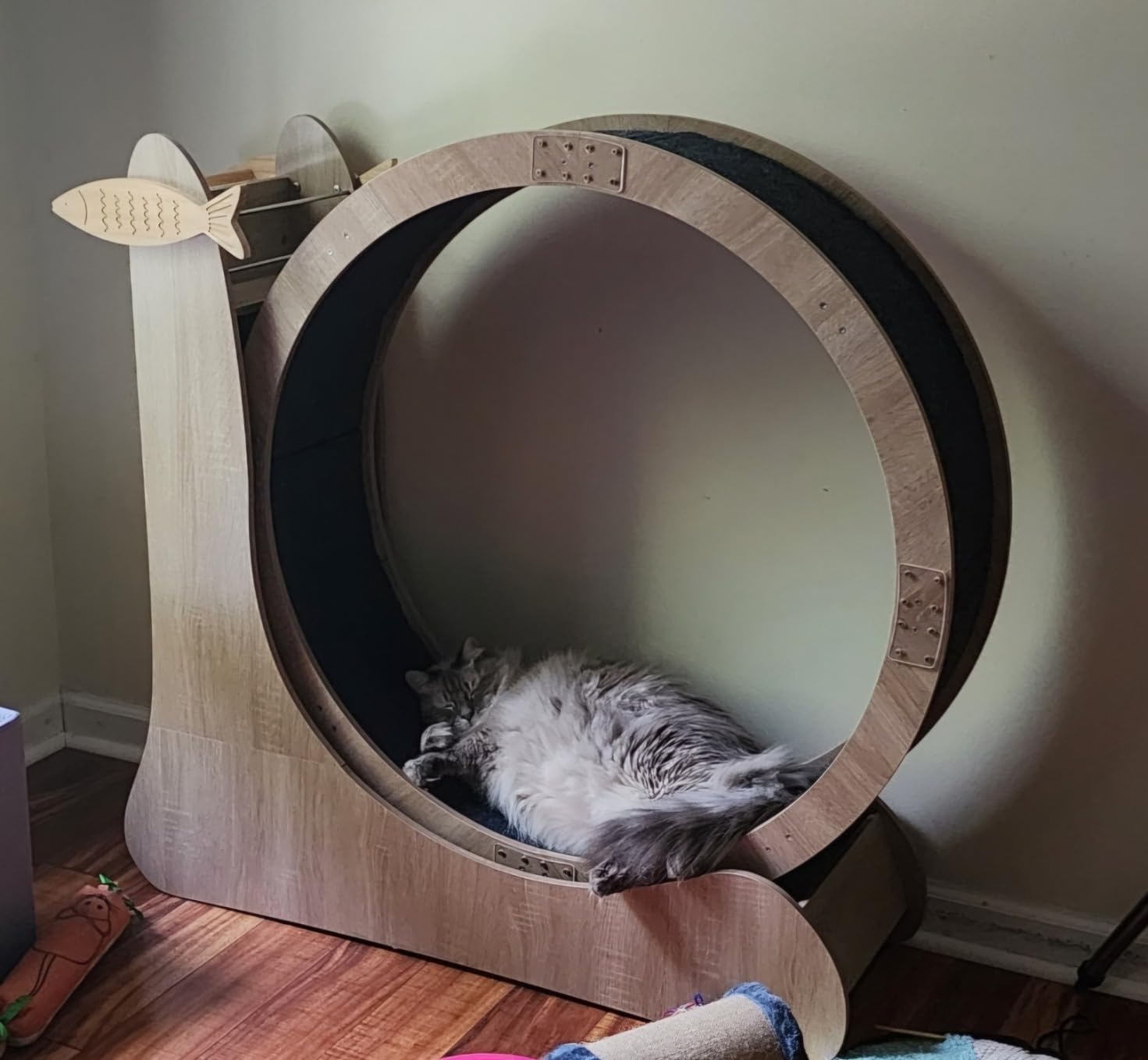 5-in-1 Cat Wheel, Cat Exercise Wheel, 41.3