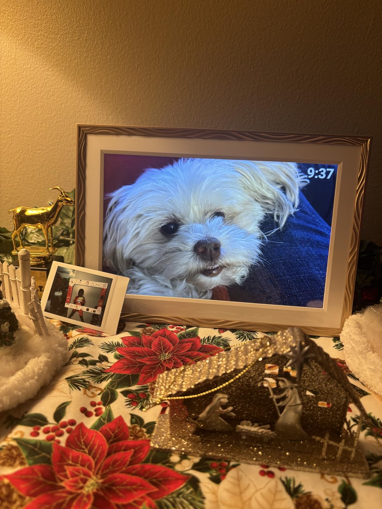 Frameo Digital Picture Frame, 10.1'' Frameo Digital Photo Frame WiFi, 32GB | 1280*800 HD Touch Screen, Share Photo Video, Birthday Gifts for Women, Wedding Gifts for Couple customer photo 2