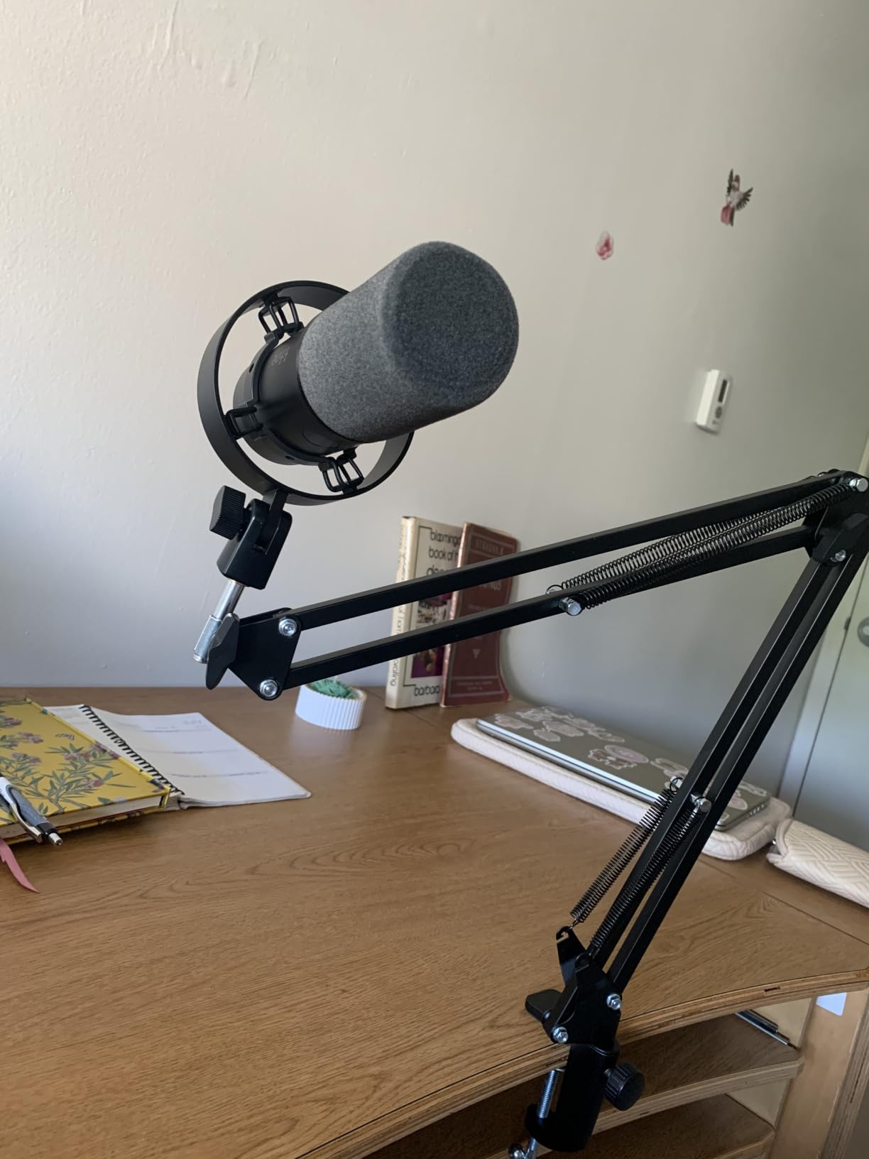 FIFINE K688 Podcast Microphone Kit, USB/XLR Dynamic Microphone with Boom Arm customer photo 2