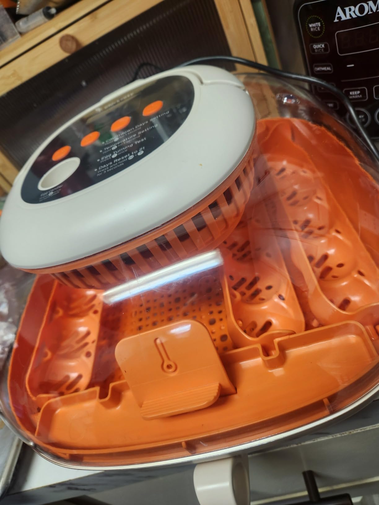 Chickcozy 25 Egg Incubator, Automatic Egg Turner with Thermometer Seat and Humidity Control, Egg Candler, 360° View with Clear Window, Incubators for Hatching Chicks (Sunlit Orange) customer photo 1