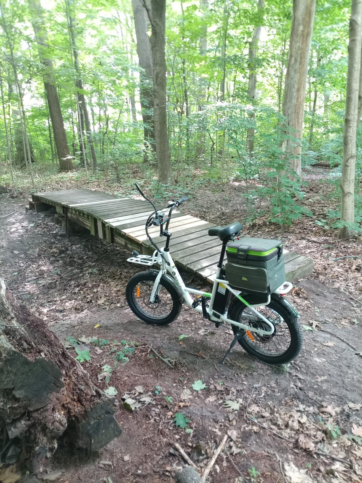 isinwheel U7S Electric Bike for Adult, Peak 1500W Motor 48V 20Ah Battery Up to 20+ MPH & 80 Miles Step-Thru Cargo Ebike, 7-Speed All Terrain Fat Tire Front Suspension E-Bike customer photo 1