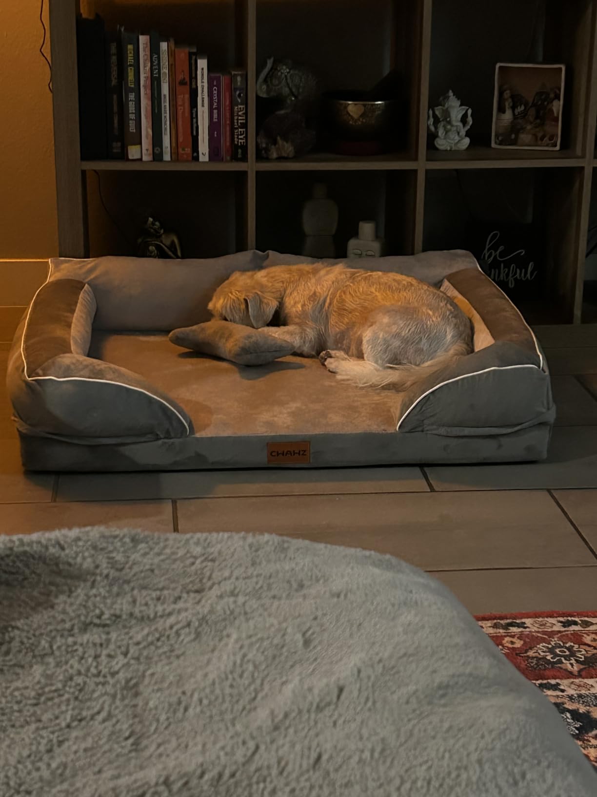 CWAWZ Dog Beds for Large Dogs, Orthopedic Dog Bed with Cooling Gel Memory Foam, Waterproof Large Pet Bed with Removable Washable Cover, 36