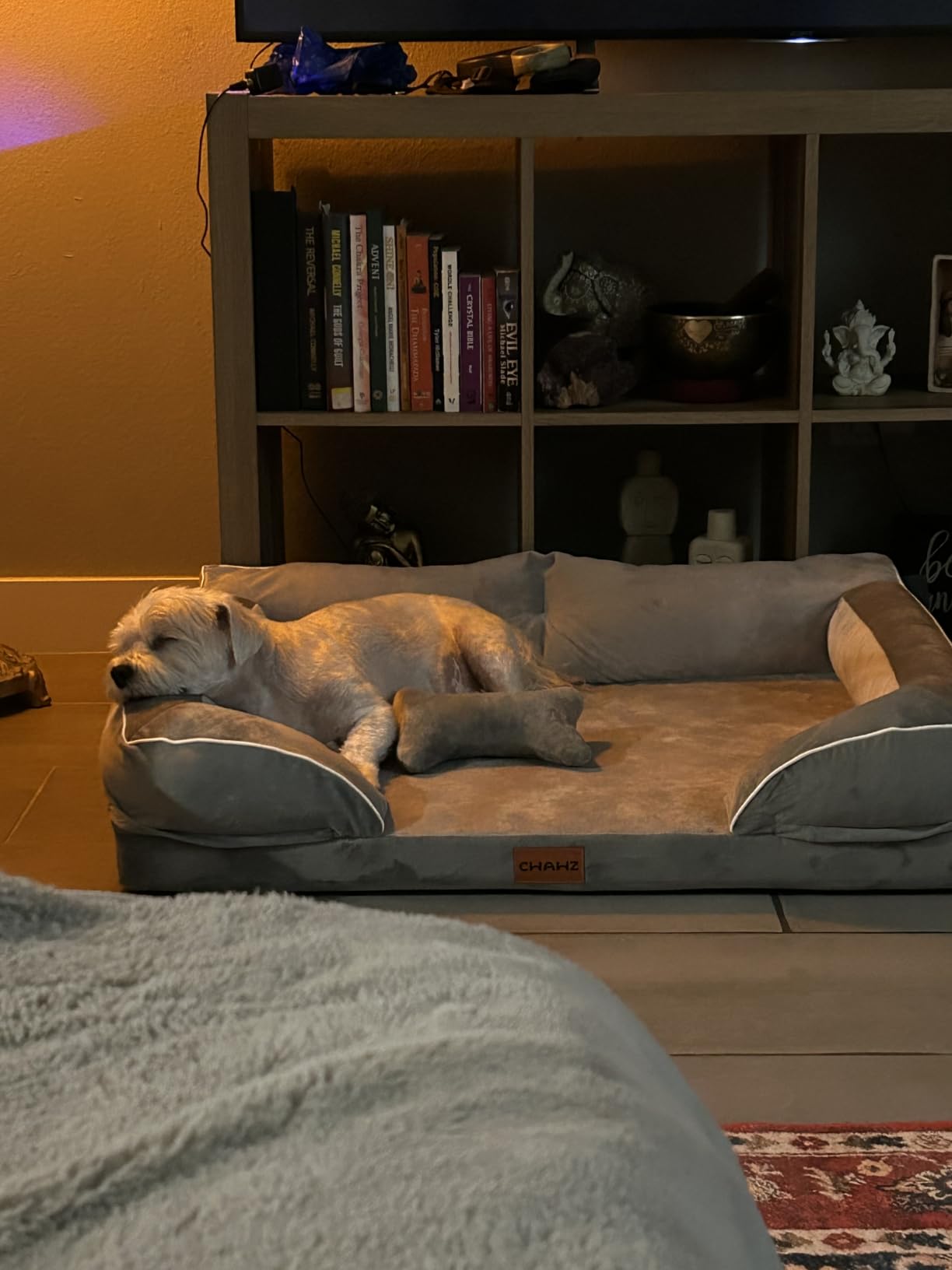 CWAWZ Dog Beds for Large Dogs, Orthopedic Dog Bed with Cooling Gel Memory Foam, Waterproof Large Pet Bed with Removable Washable Cover, 36