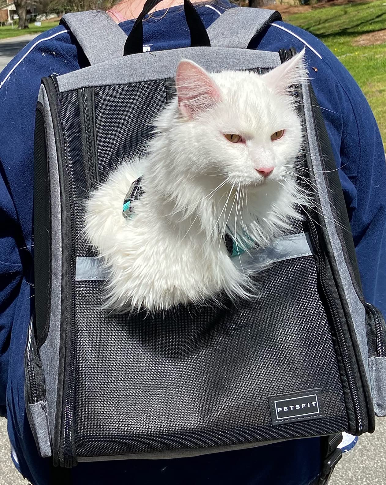 Petsfit Expandable Cat Backpack Carrier for Cats and Small Dogs, 18 lb | 65% expandable rest zone, padded waist belt, airflow back panel, locking zippers, safety tether and washable dual-sided mat. customer photo 1