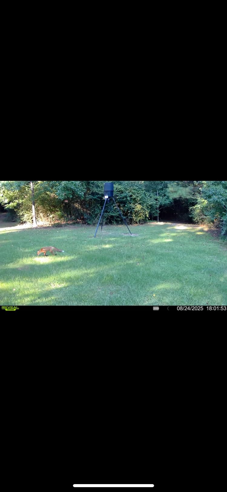 TACTACAM Reveal X 3.0 Cellular Trail Camera, Night Vision, Waterproof | 4K photo, 1080p video; auto-connect multi-carrier LTE; no SD card needed; 6+ month battery life; IP66 rated customer photo 2