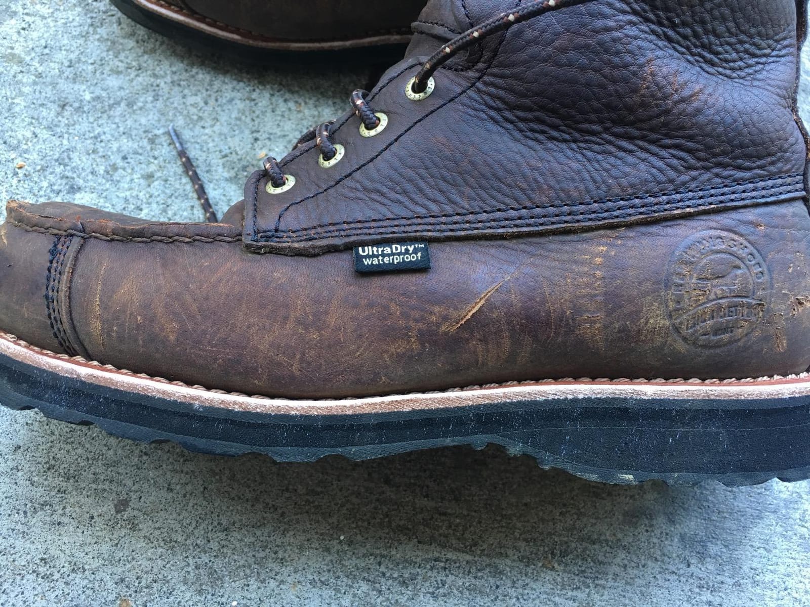 Irish Setter, Wingshooter, Men's, 7