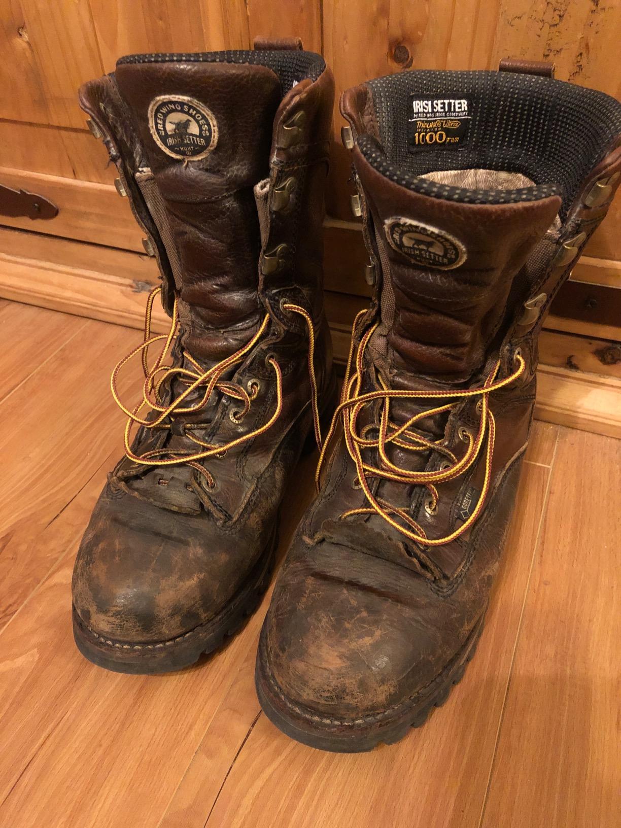 Irish Setter Elk Tracker 12