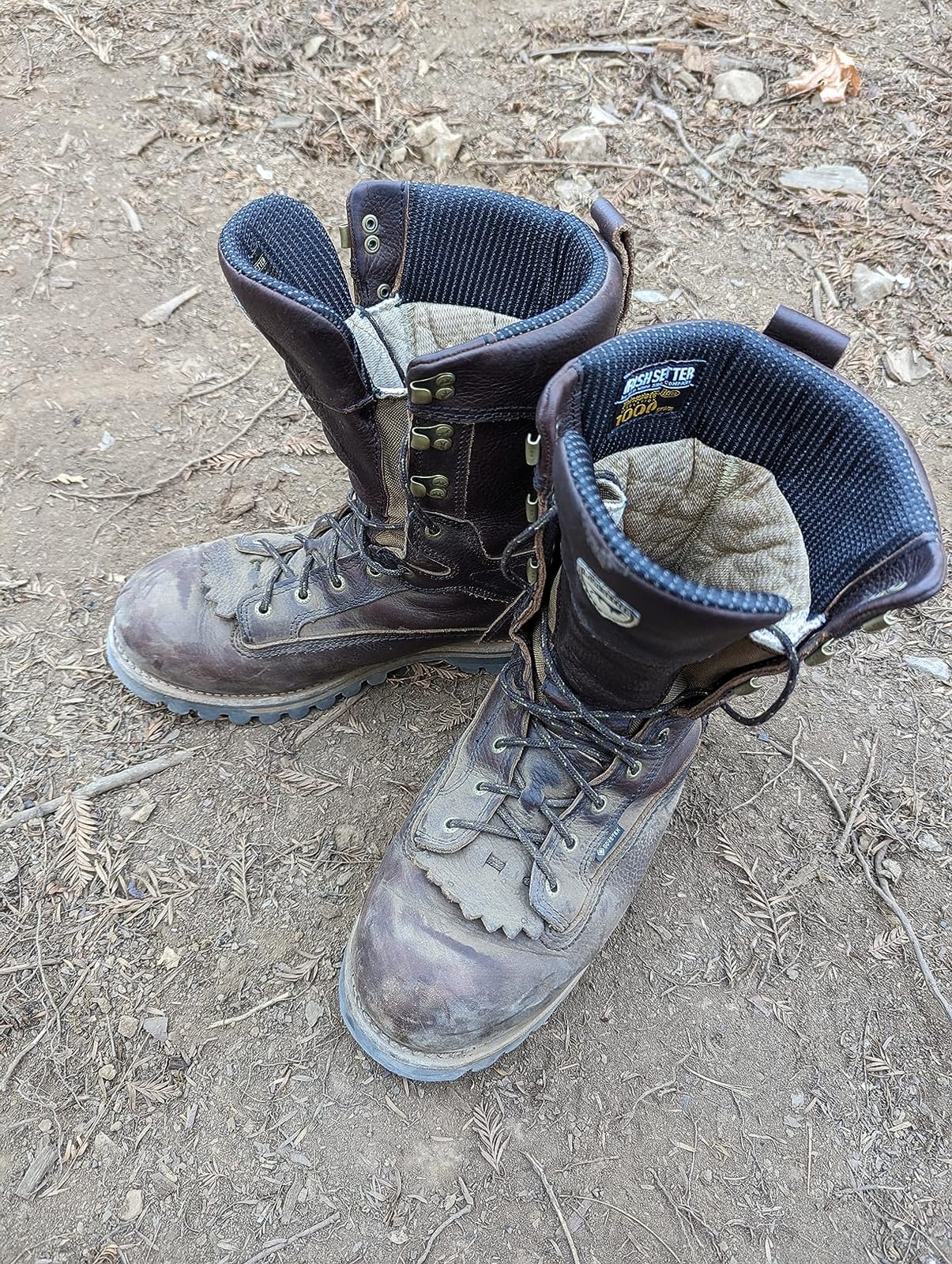 Irish Setter Elk Tracker 12