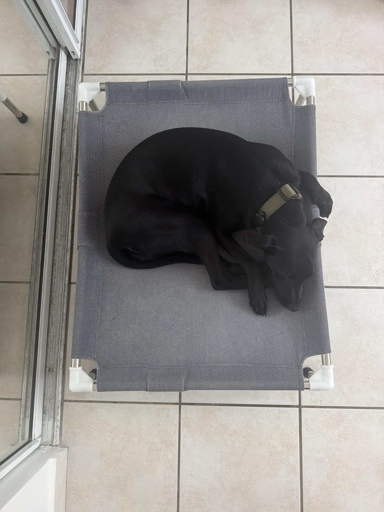 Elevated Cooling Dog Bed, Raised Outdoor Dog Bed for Medium Dogs, Portable Pet Cots with No-Slip Rubber Feet, Double Layer Polyester Cotton customer photo 1